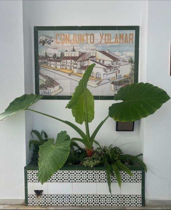 Rent4 Malaga Yolamar Appartamento *